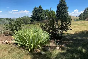 234 S Holman Way, Golden, CO 80401 - Photo 37