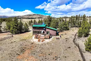 2867 Willow Creek Ln, Fairplay, CO 80440 - Photo 39