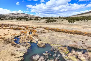 2867 Willow Creek Ln, Fairplay, CO 80440 - Photo 43