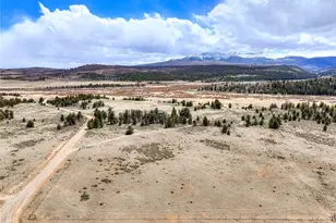 2867 Willow Creek Ln, Fairplay, CO 80440 - Photo 45