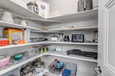 7015 Homeplace Street, Castle Rock, CO 80108 - Photo 9