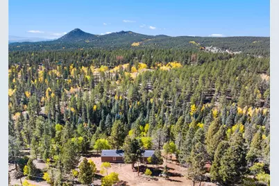 695 Elk Creek Drive, Divide, CO 80814 - Photo 1