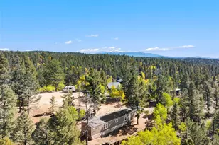 695 Elk Creek Dr, Divide, CO 80814 - Photo 27
