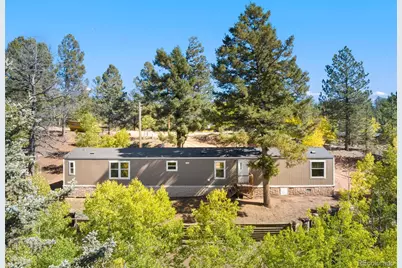 695 Elk Creek Drive, Divide, CO 80814 - Photo 3