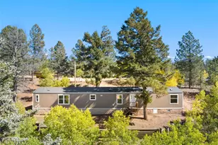 695 Elk Creek Dr, Divide, CO 80814 - Photo 3