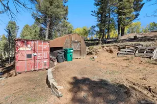695 Elk Creek Dr, Divide, CO 80814 - Photo 25