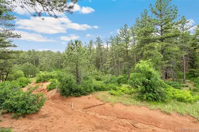 4580 Delaware Drive, Larkspur, CO 80118 - Photo 11