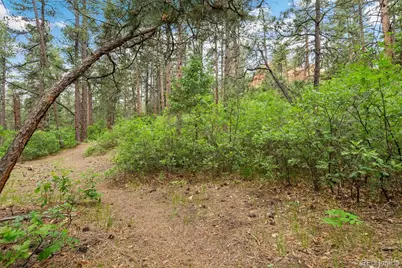 4580 Delaware Drive, Larkspur, CO 80118 - Photo 13