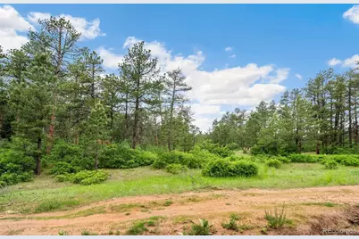 4580 Delaware Drive, Larkspur, CO 80118 - Photo 9