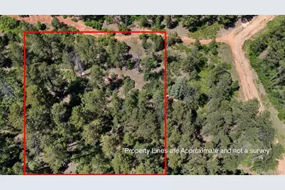 4580 Delaware Drive, Larkspur, CO 80118 - Photo 21