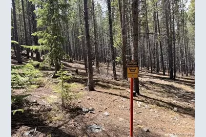 0064 Cr 534, Breckenridge, CO 80424 - Photo 5