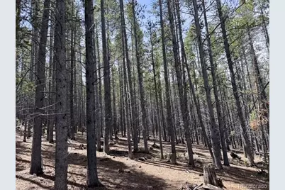 0064 Cr 534, Breckenridge, CO 80424 - Photo 7