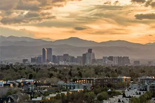 8502 E 29th Pl, Denver, CO 80238 - Photo 37