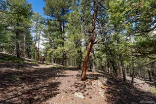 150 Summit Dr, Bailey, CO 80421 - Photo 39