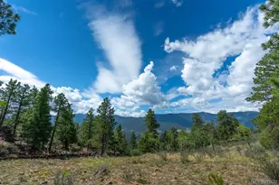 150 Summit Dr, Bailey, CO 80421 - Photo 41