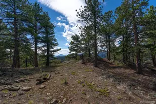 150 Summit Dr, Bailey, CO 80421 - Photo 37
