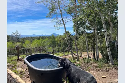 150 Summit Drive, Bailey, CO 80421 - Photo 29