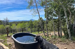 150 Summit Dr, Bailey, CO 80421 - Photo 29