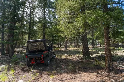 150 Summit Drive, Bailey, CO 80421 - Photo 35