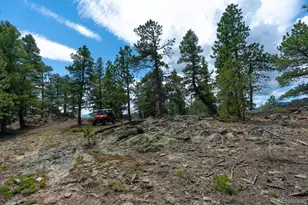 150 Summit Dr, Bailey, CO 80421 - Photo 43