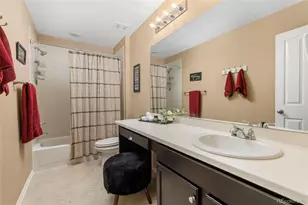 6246 Walnut Grove St, Erie, CO 80516 - Photo 21