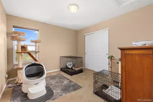 6246 Walnut Grove St, Erie, CO 80516 - Photo 23