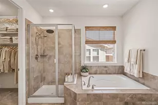 8777 Ginkgo Loop, Parker, CO 80134 - Photo 19