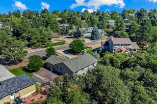 8124 Tempest Ridge Way, Parker, CO 80134 - Photo 41