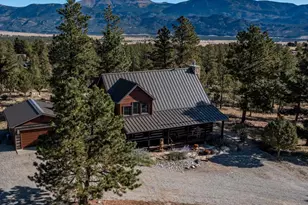30455 Pine Glen Ct, Buena Vista, CO 81211 - Photo 1
