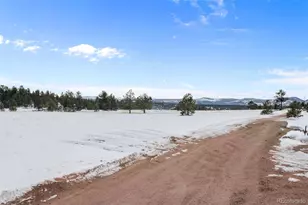 803 Timber Mesa, Florissant, CO 80816 - Photo 35