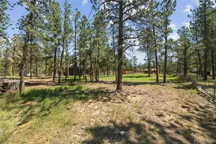96 Gunsmoke Dr, Bailey, CO 80421 - Photo 41