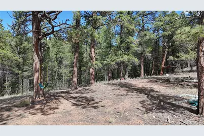 95 Navajo Trail, Florissant, CO 80816 - Photo 9