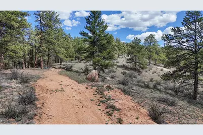 95 Navajo Trail, Florissant, CO 80816 - Photo 11