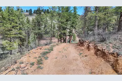 95 Navajo Trail, Florissant, CO 80816 - Photo 7