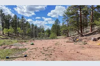 95 Navajo Trail, Florissant, CO 80816 - Photo 17