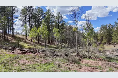 95 Navajo Trail, Florissant, CO 80816 - Photo 3