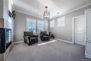 11586 Pine Canyon Dr, Parker, CO 80138 - Photo 29