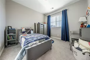 11586 Pine Canyon Dr, Parker, CO 80138 - Photo 33
