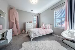 11586 Pine Canyon Dr, Parker, CO 80138 - Photo 37