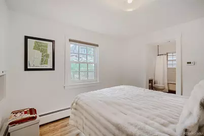 902 Main Street, Georgetown, CO 80444 - Photo 9