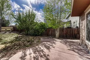 3810 Amber Sun Cir, Castle Rock, CO 80108 - Photo 37