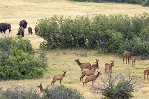 13079 Whisper Canyon Rd, Castle Pines, CO 80108 - Photo 49