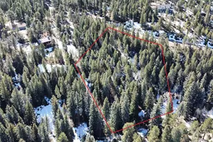 6448 Elaine Rd, Evergreen, CO 80439 - Photo 25