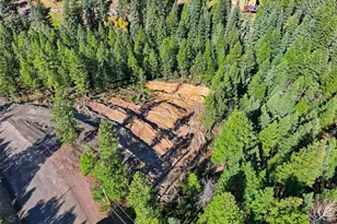 6448 Elaine Rd, Evergreen, CO 80439 - Photo 19