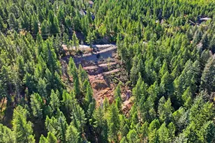 6448 Elaine Rd, Evergreen, CO 80439 - Photo 21