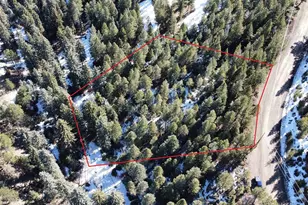 6448 Elaine Rd, Evergreen, CO 80439 - Photo 23