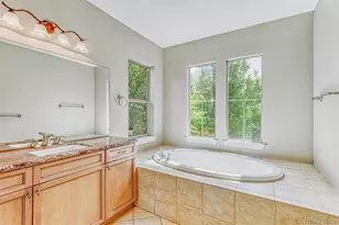 9611 Sunset Hill Dr, Lone Tree, CO 80124 - Photo 19
