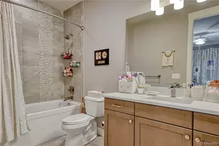 144 Stone Pointe Trail, Castle Rock, CO 80109 - Photo 29