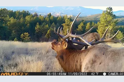 12414 S US Hwy 285, Conifer, CO 80433 - Photo 45