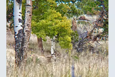 12414 S US Hwy 285, Conifer, CO 80433 - Photo 11